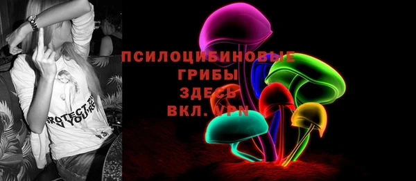 spice Алзамай