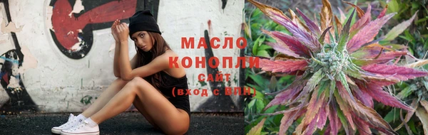 тгк Алексин