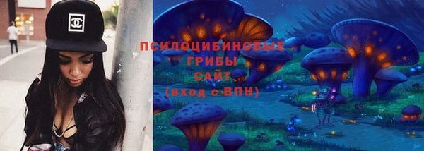 тгк Алексин